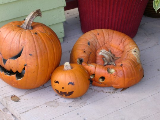 rotten-assed-pumpkins.jpg