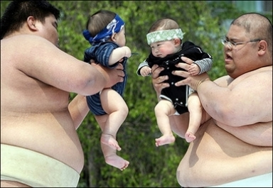 baby-sumo.jpg