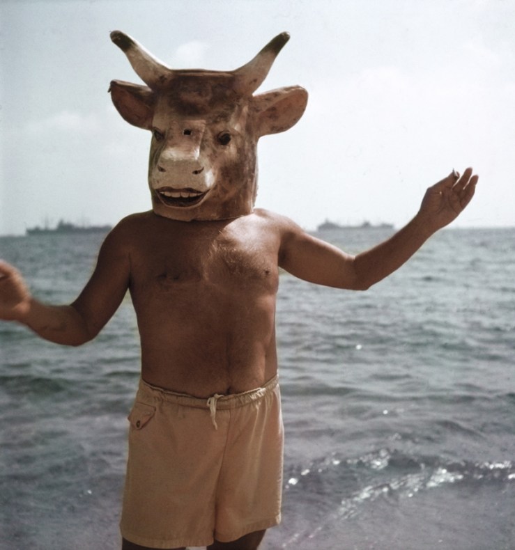 picasso_minotaur