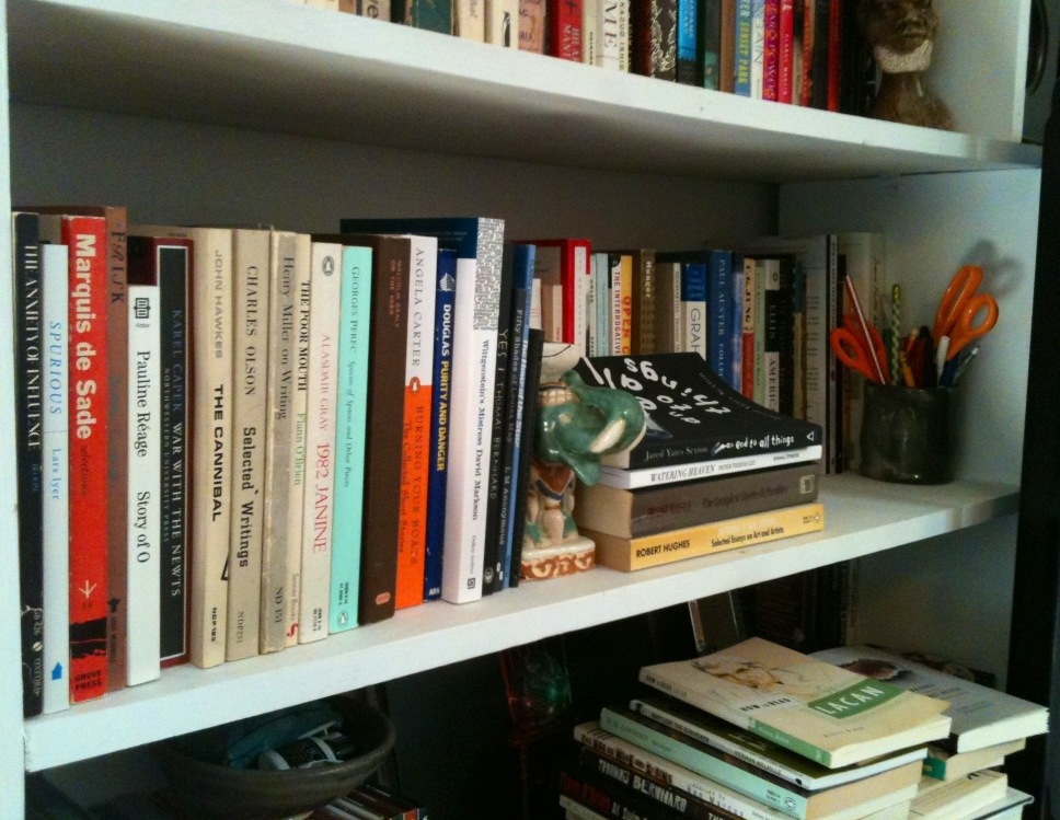 Book Shelves #46, 11.11.2012 – Biblioklept