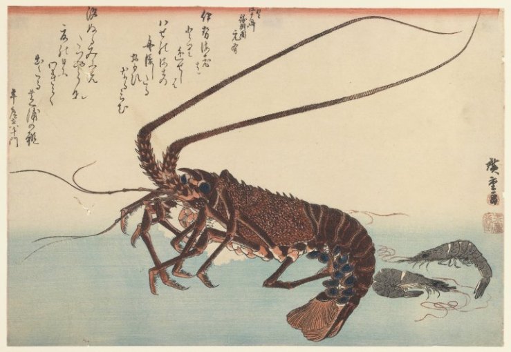 crayfish-and-two-shrimps-1845