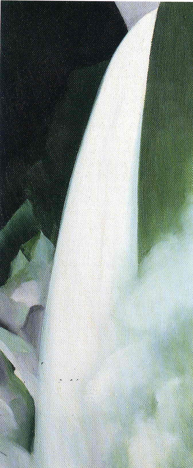 Green and White, Georgia O'Keeffe