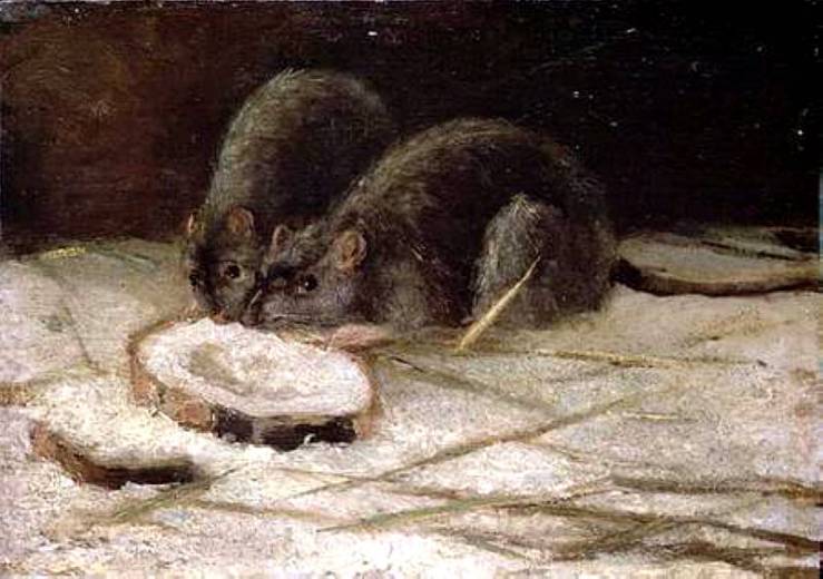 Two Rats, Vincent van Gogh