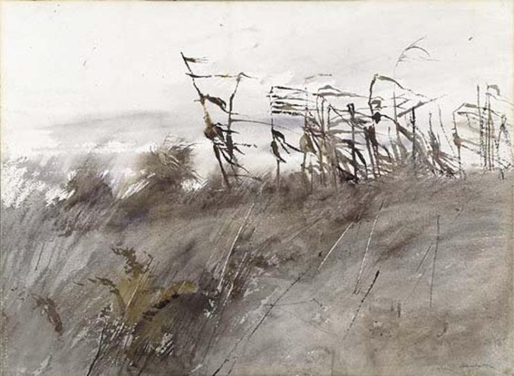 andrew-wyeth-november-first