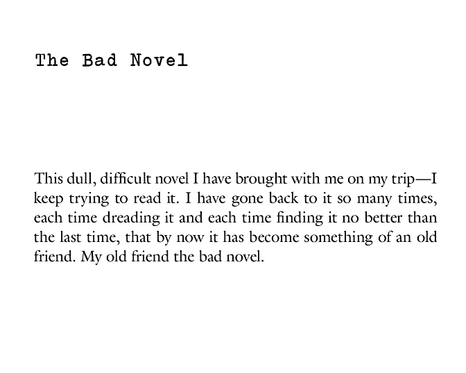 the bad novel