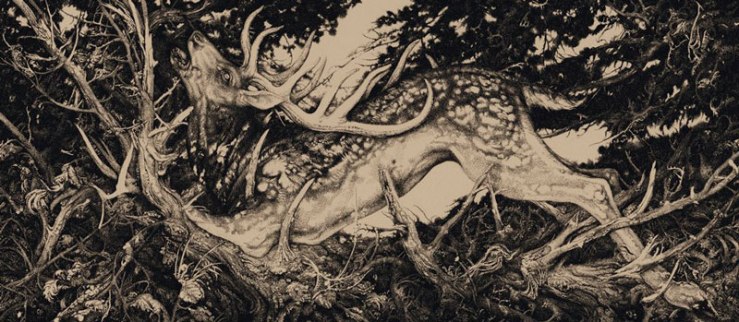Zouravliov_web02
