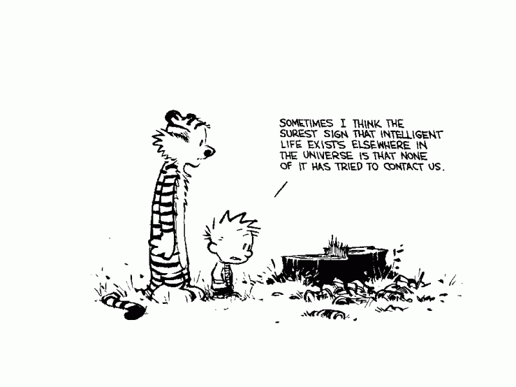 CalvinHobbes