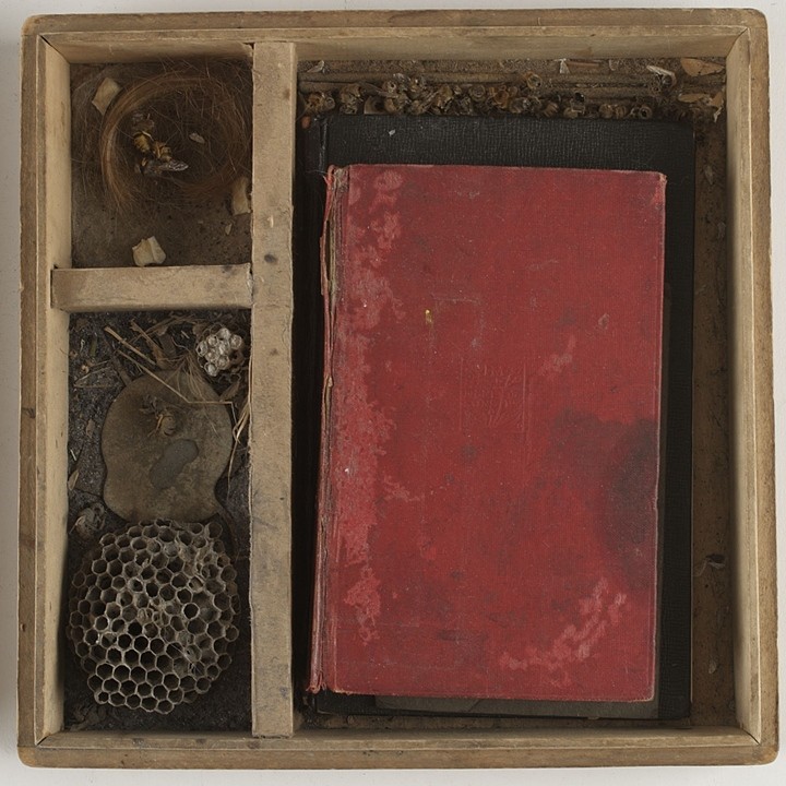 3. The mystical body defined