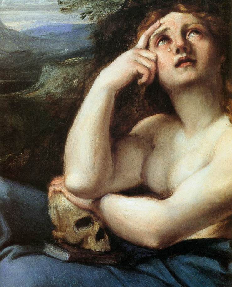 agostinocarracci_thepenitentmagdaleninalandscape-detail