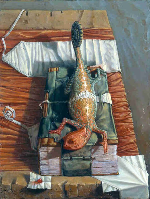 tumblr_lxi0pf85ce1qhvnw6o1_1280