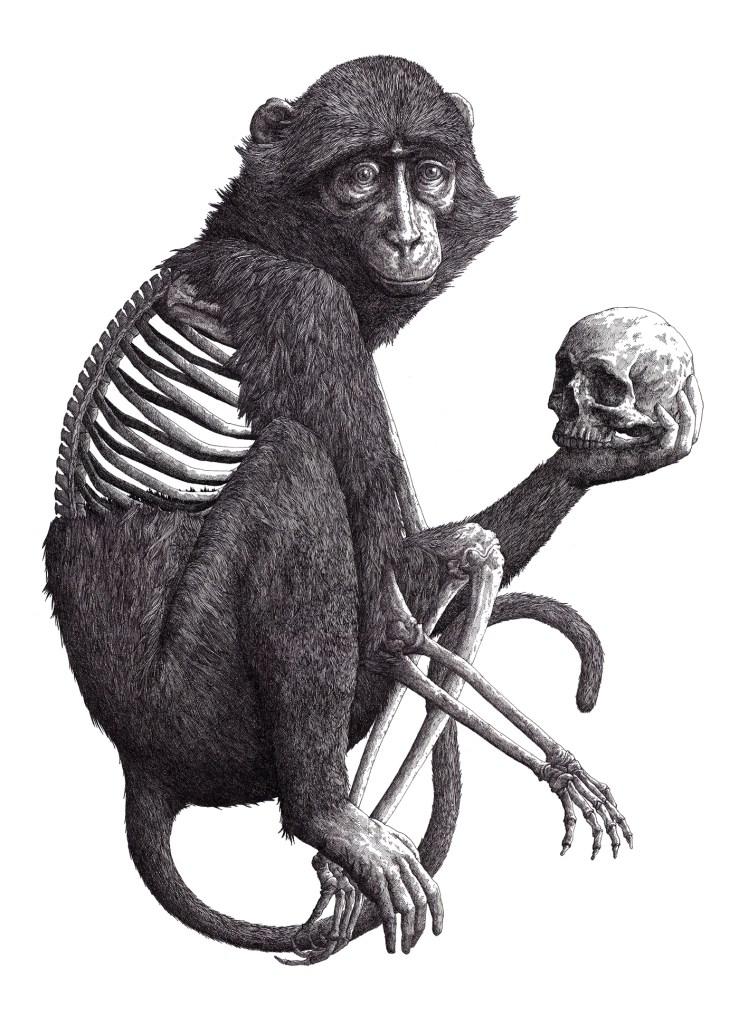 b84ac230158109.5615c975bf9ba