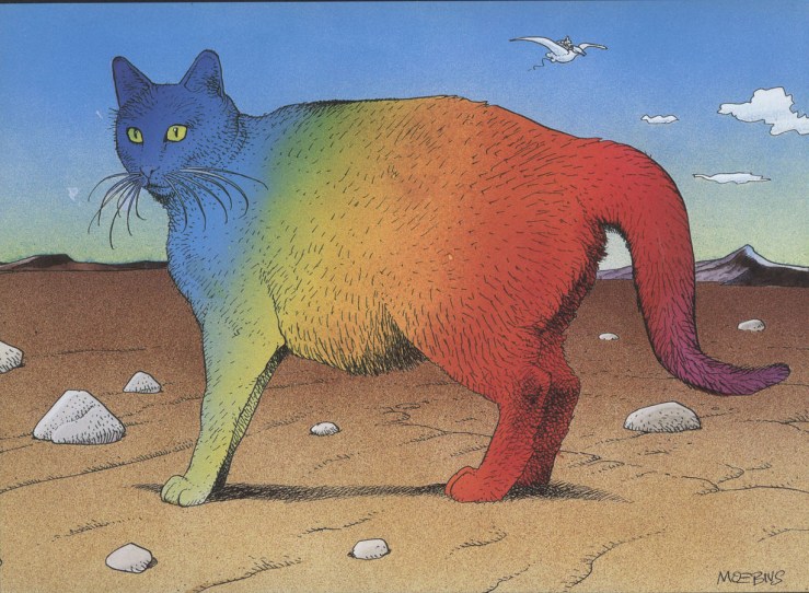 rainbow cat moebius