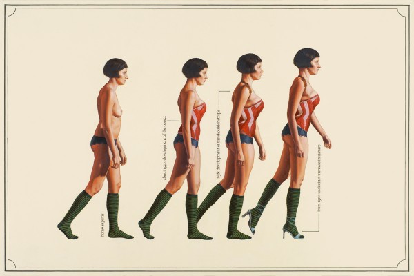 31_humanevolutionweb