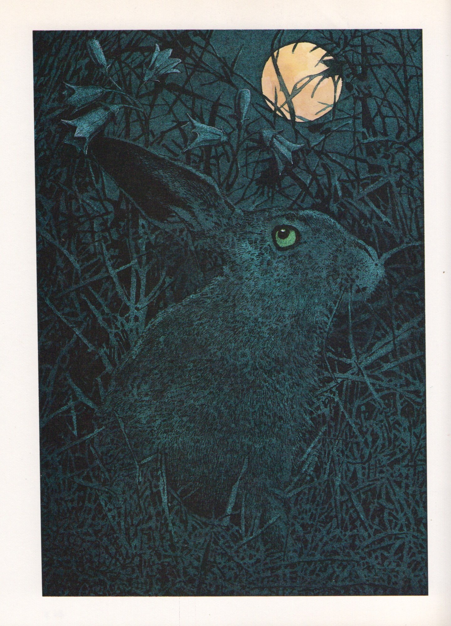 The Hare and the Flower — Barry Moser – Biblioklept