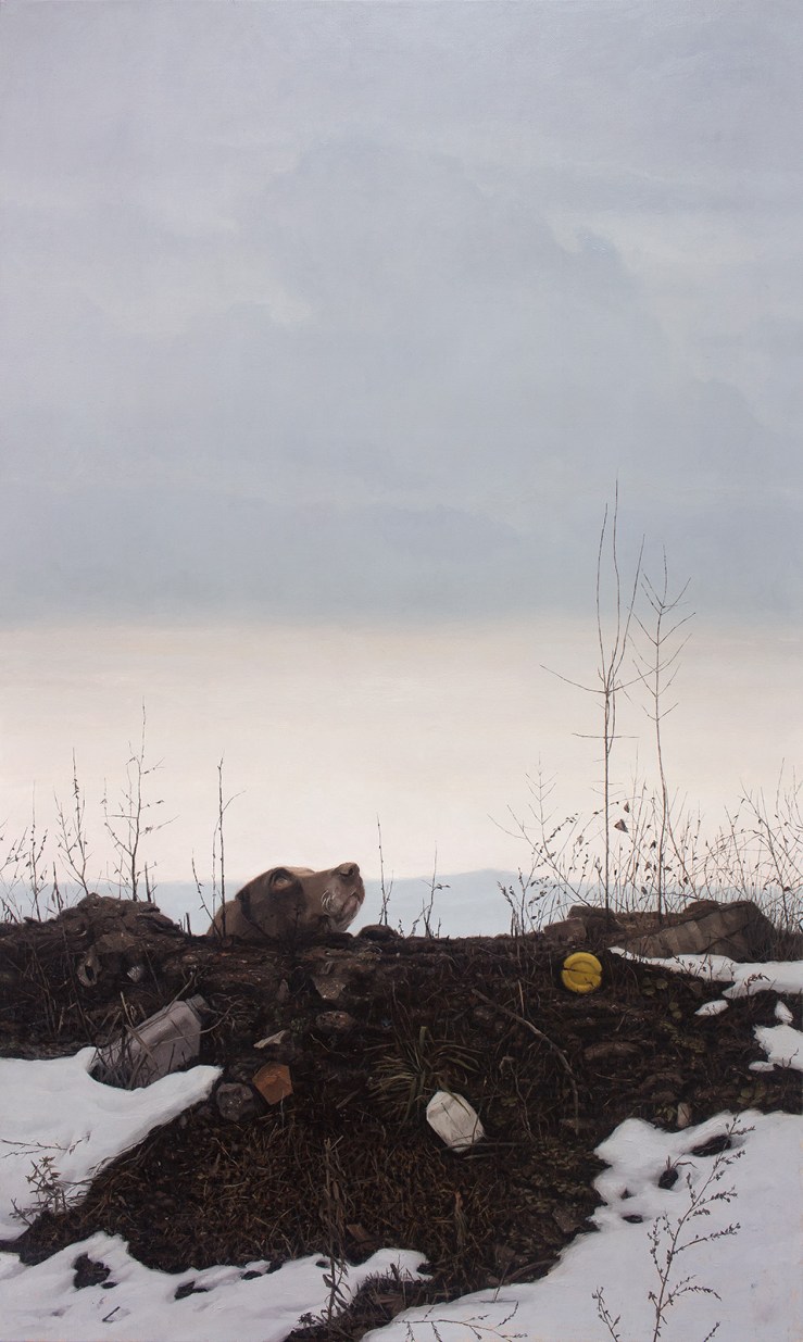 tumblr_nl8fcxqwqp1uqpzx8o1_r2_1280