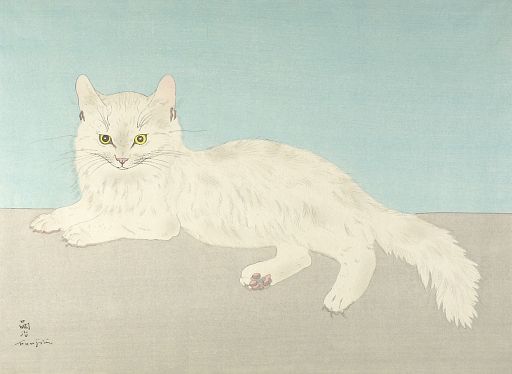 white-cat