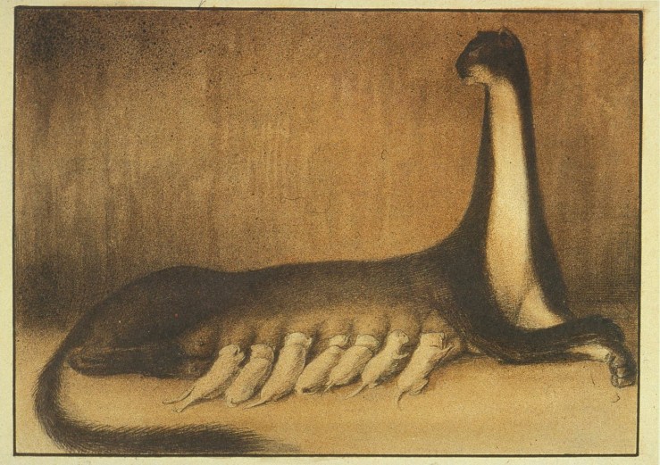 alfred-kubin-2
