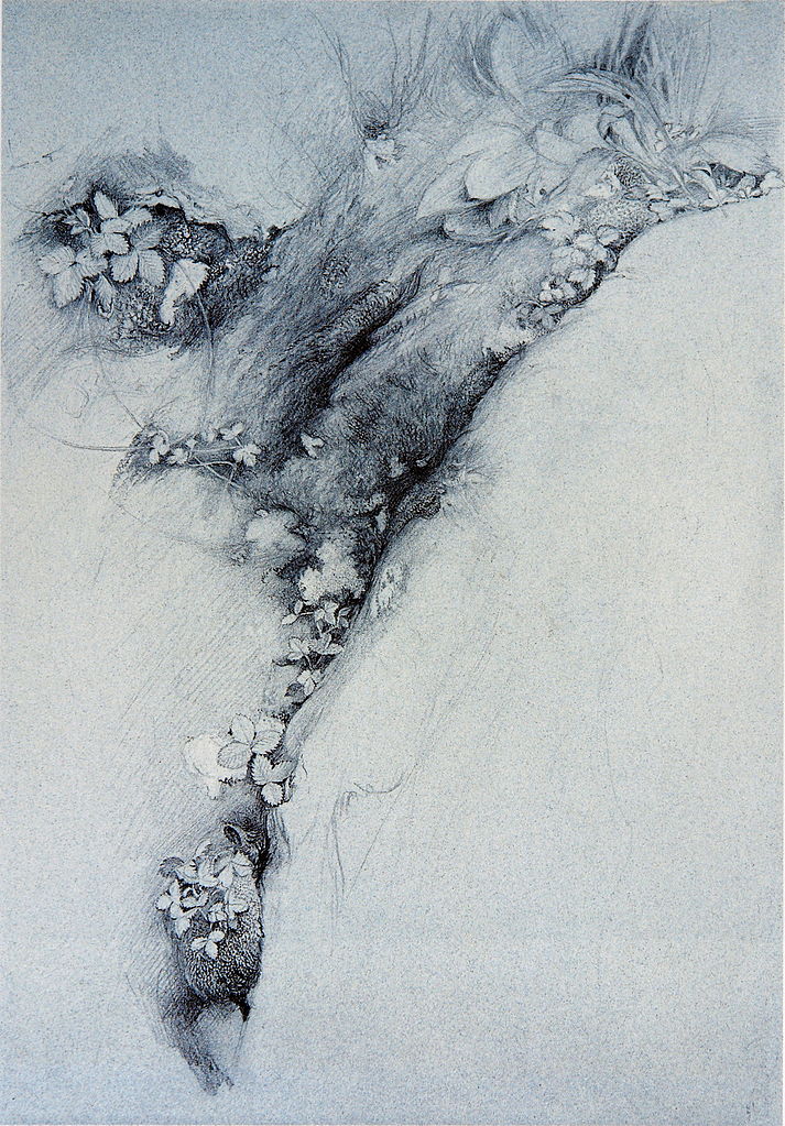 moss-and-wild-strawberry-1872