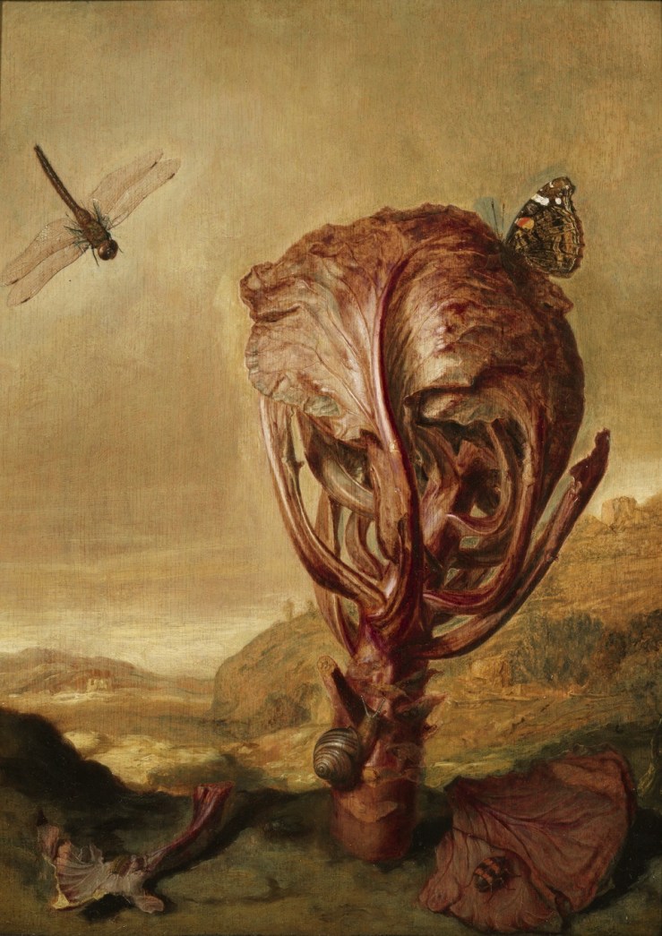 33001930705_4e5b91c2e7_o