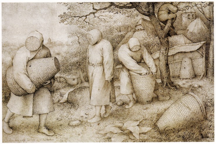 Die_Bienenzüchter_(Bruegel).jpg