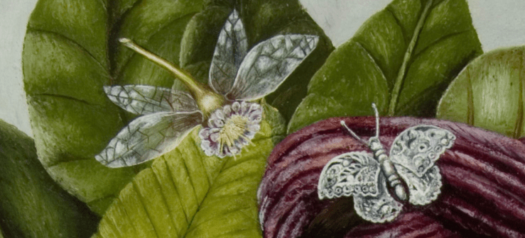 Screenshot 2017-05-12 at 12.55.59 PM