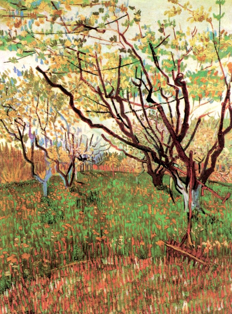orchard-in-blossom-1888
