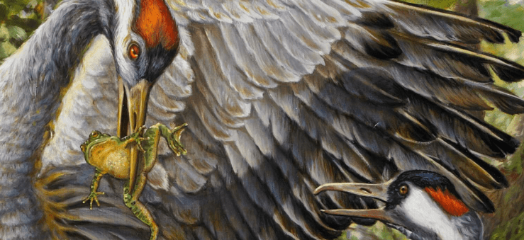 Screenshot 2017-06-17 at 7.59.00 PM