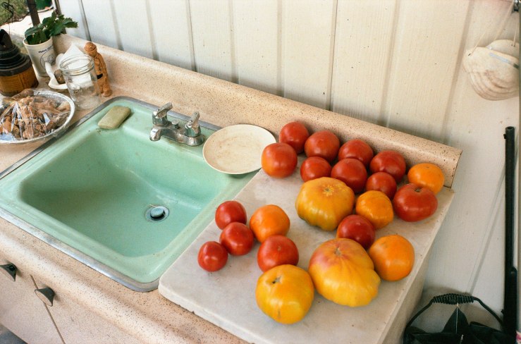 eggleston-tomatoes