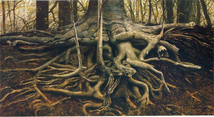 roots wyeth