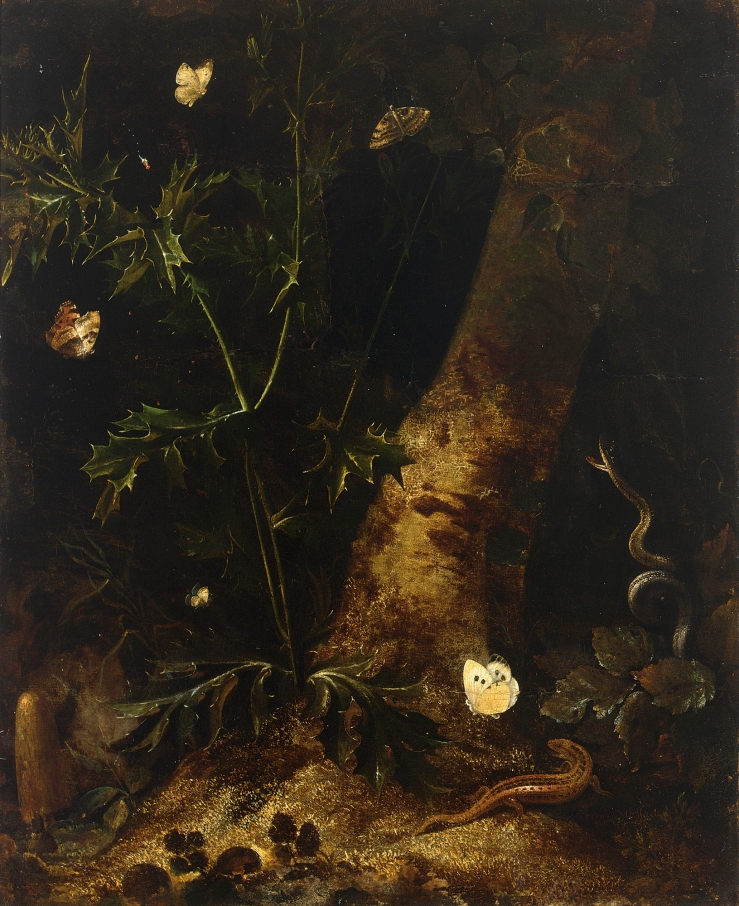 a-forest-floor-still-life-with-a-salamander-snake-and-various-butterflies-around-a-thistle