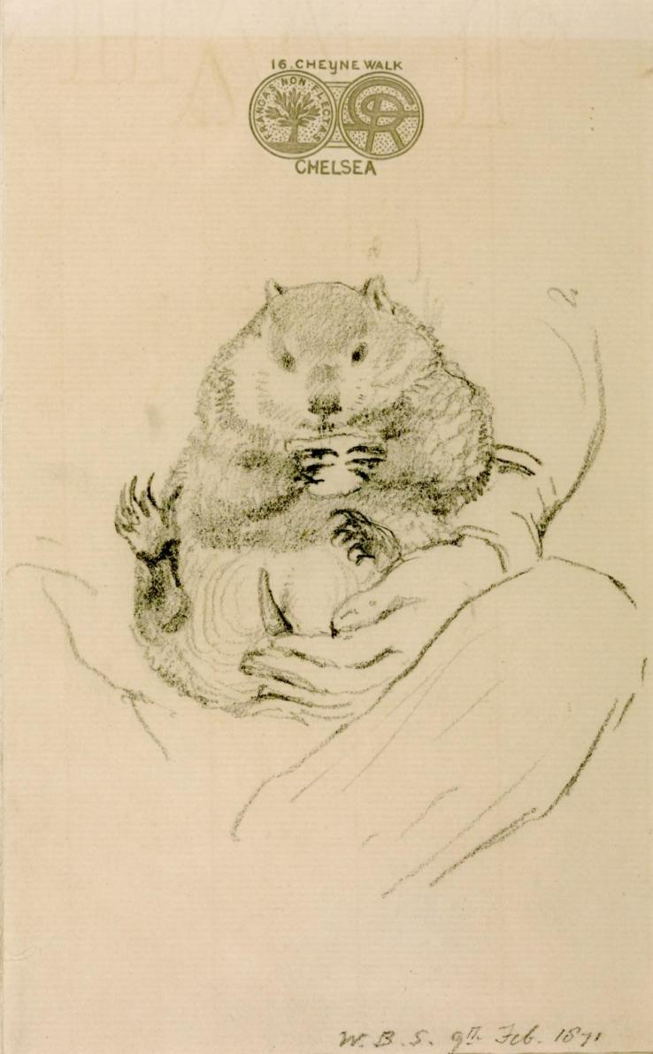 Rossetti's Wombat Seated in his Master's Lap 1871 by William Bell Scott 1811-1890