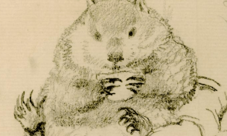 Screenshot 2017-11-08 at 8.38.19 PM