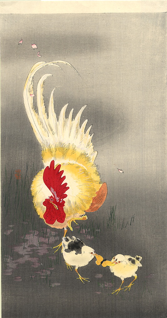 rooster-and-chicks