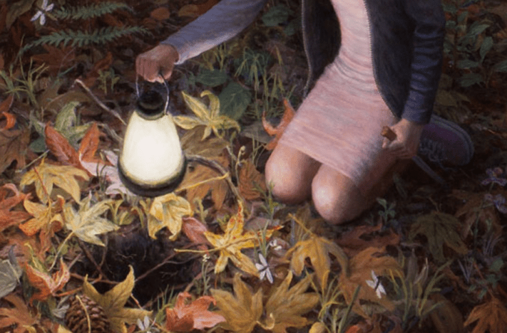 Screenshot 2018-05-27 at 7.00.50 PM