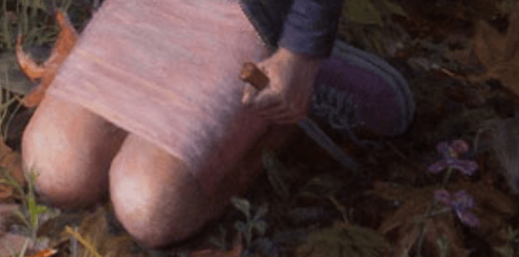 Screenshot 2018-05-27 at 7.01.31 PM