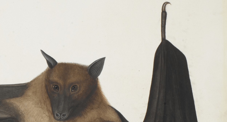 Screenshot 2018-05-31 at 3.59.03 PM