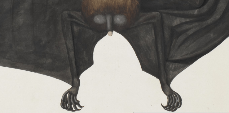 Screenshot 2018-05-31 at 3.59.29 PM