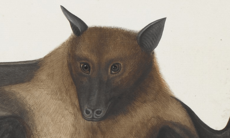 Screenshot 2018-05-31 at 3.59.41 PM