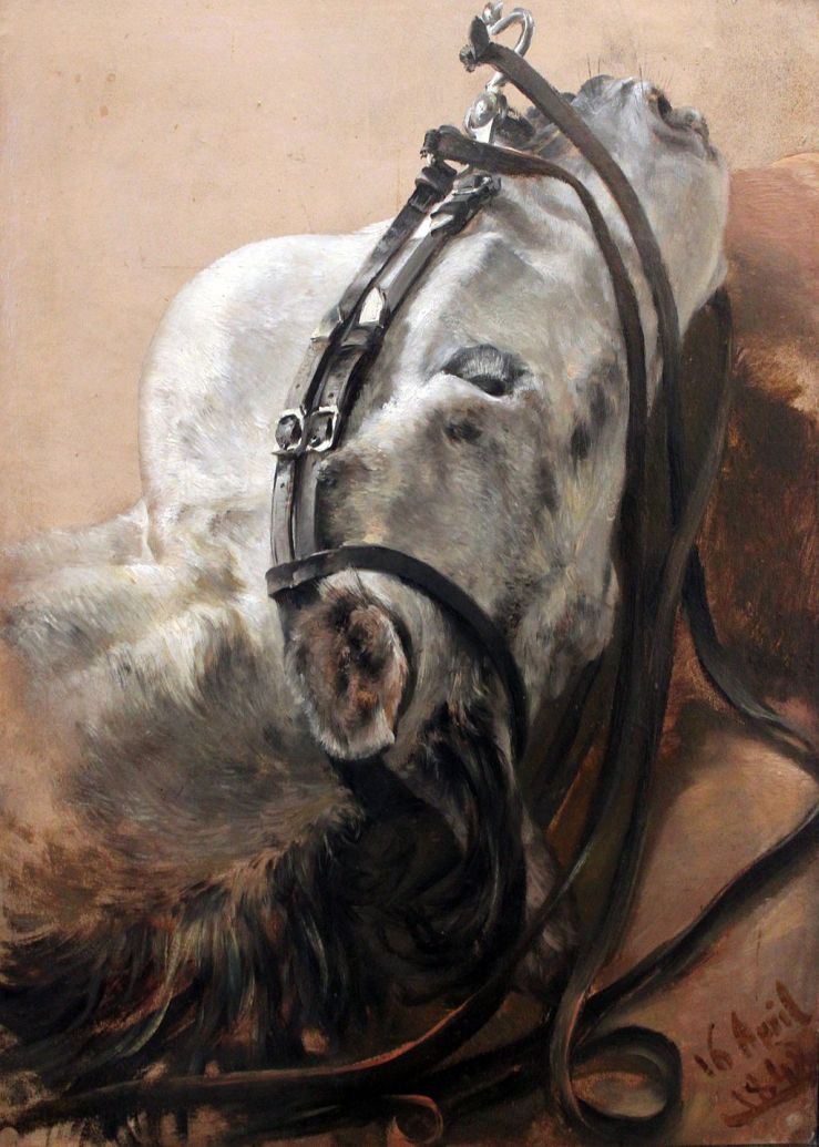 86faa214c0c51d030888ef6dc38a4f92