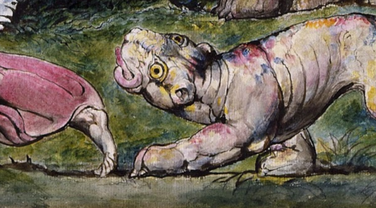 Screenshot 2018-06-21 at 10.50.03 AM