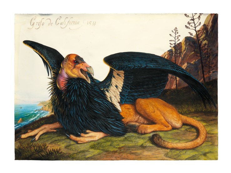 bibicnsh_ydn_2400x2400