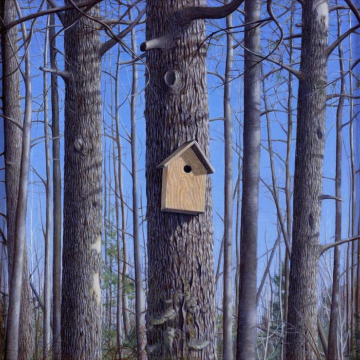 houston_home_website