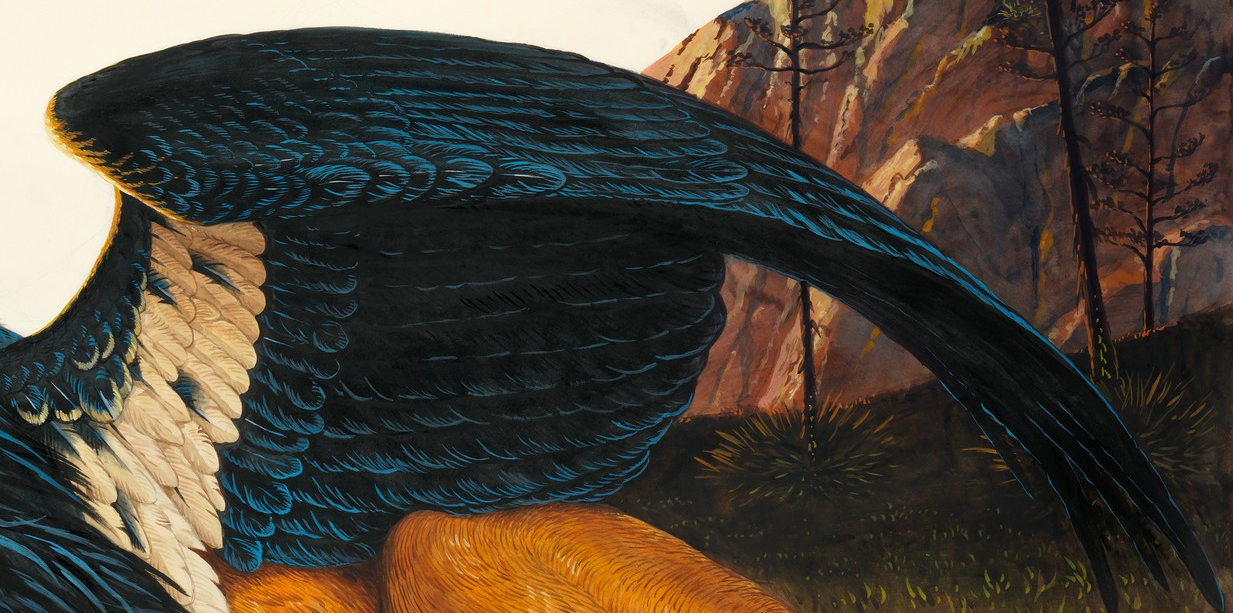 Screenshot 2018-07-31 at 8.41.11 PM