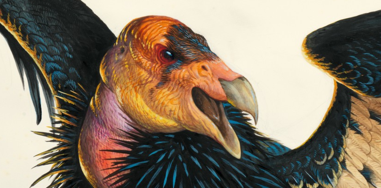 Screenshot 2018-07-31 at 8.42.52 PM