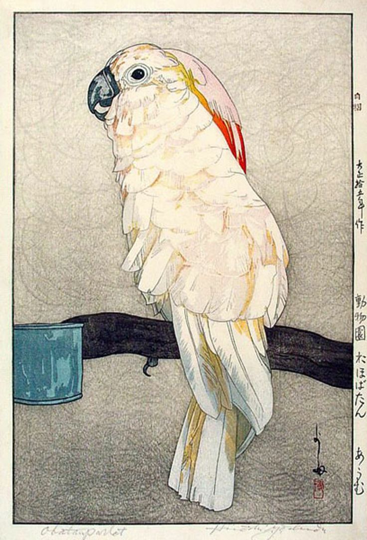 698cf212a6c17282e4bcf8bb3608a8dd-hiroshi-yoshida-exotic-birds