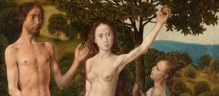 Screenshot 2018-11-20 at 7.04.01 PM