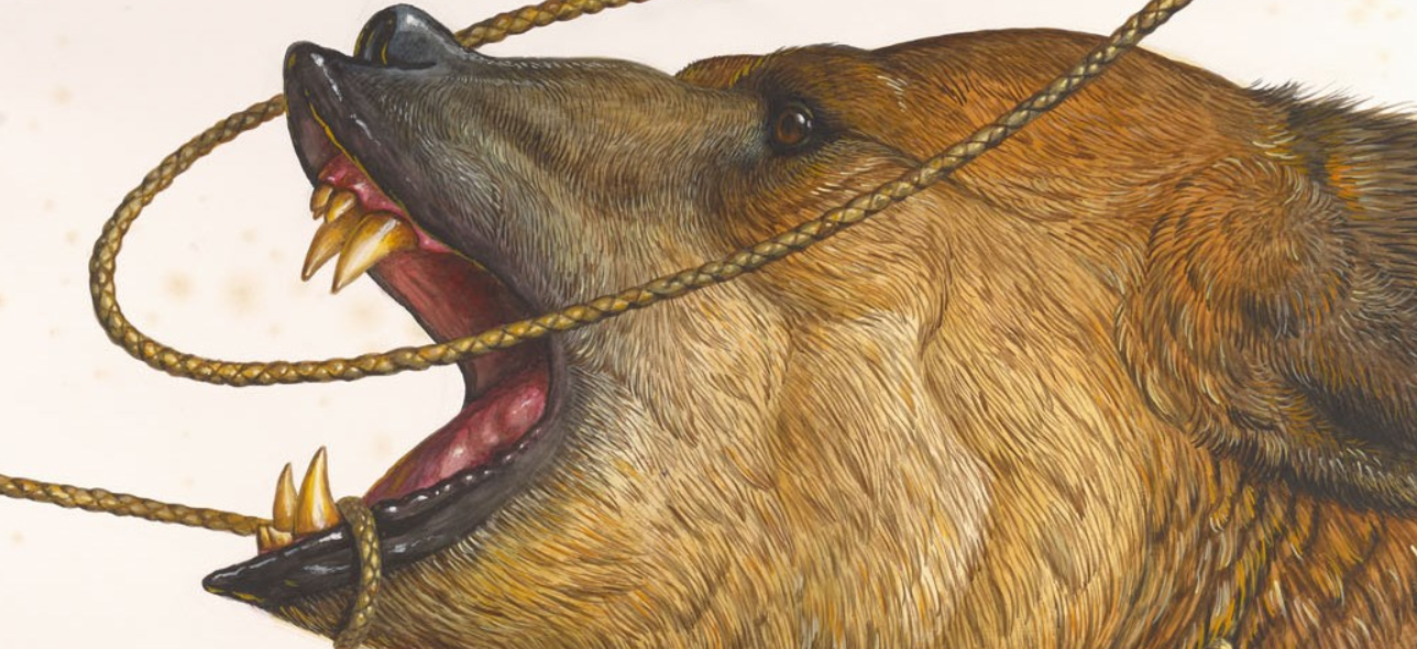 Screenshot 2018-12-19 at 6.37.26 PM.png