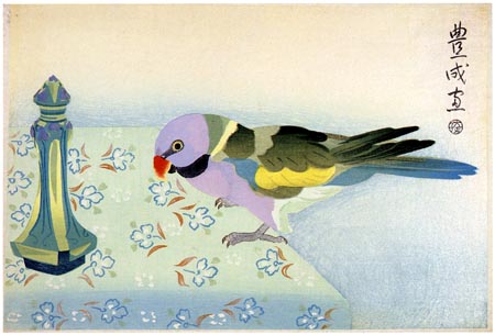 parakeet-on-table-1924