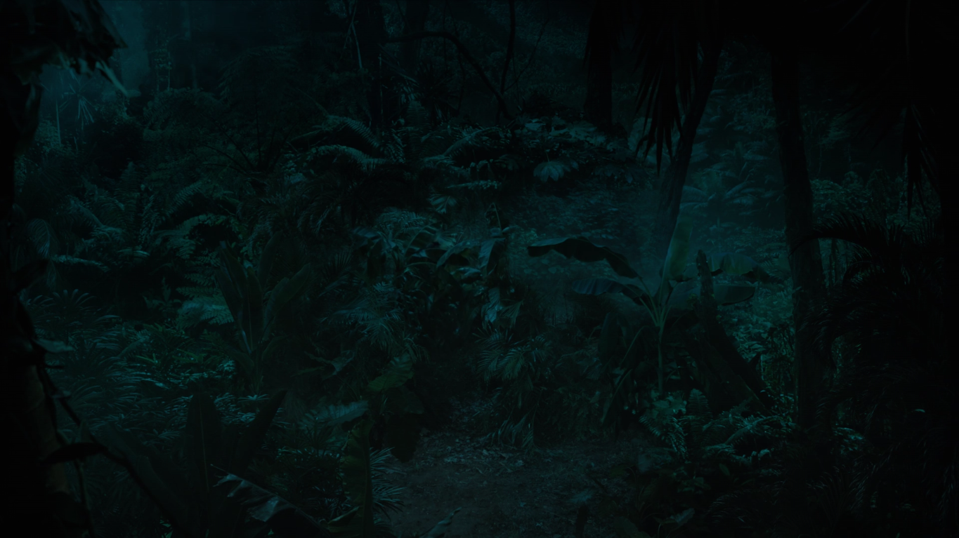 Screenshot 2019-02-25 at 4.03.46 PM