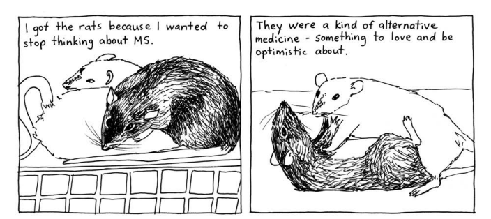 Screenshot 2019-09-03 at 3.44.08 PM.png